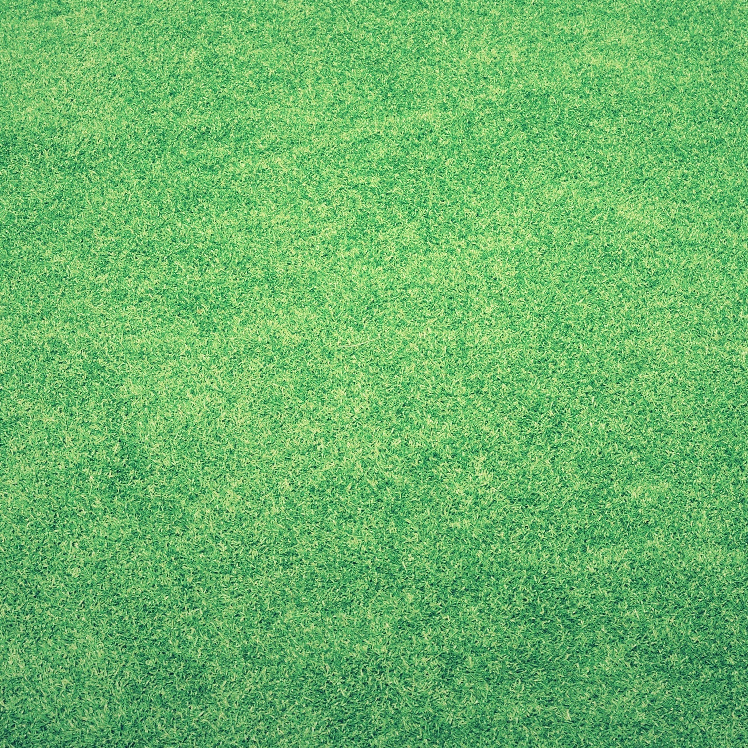 artificial grass lawn
