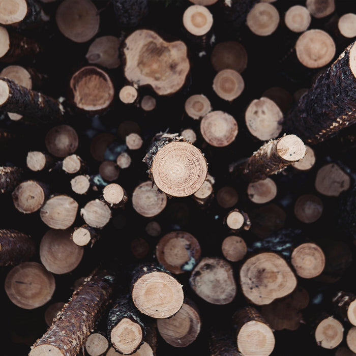 timber logs