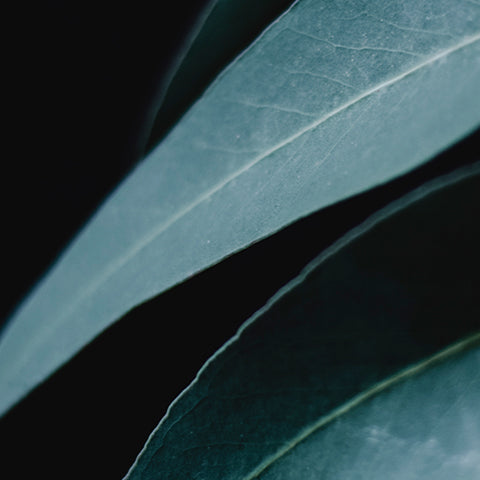 What are the benefits of having artificial plants over real plants?