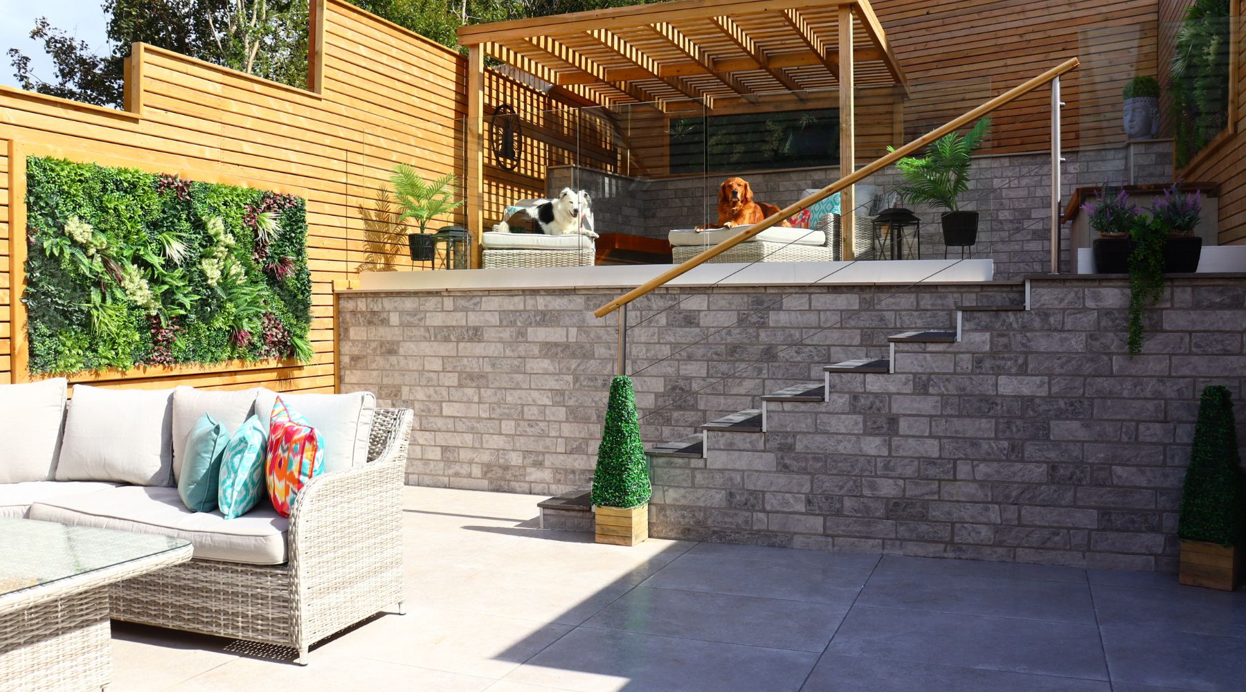 Select Living Group garden with Porcelain Paving, Outdoor Artificial Plant, Artificial Plant Wall and two large dogs sat on sun loungers.