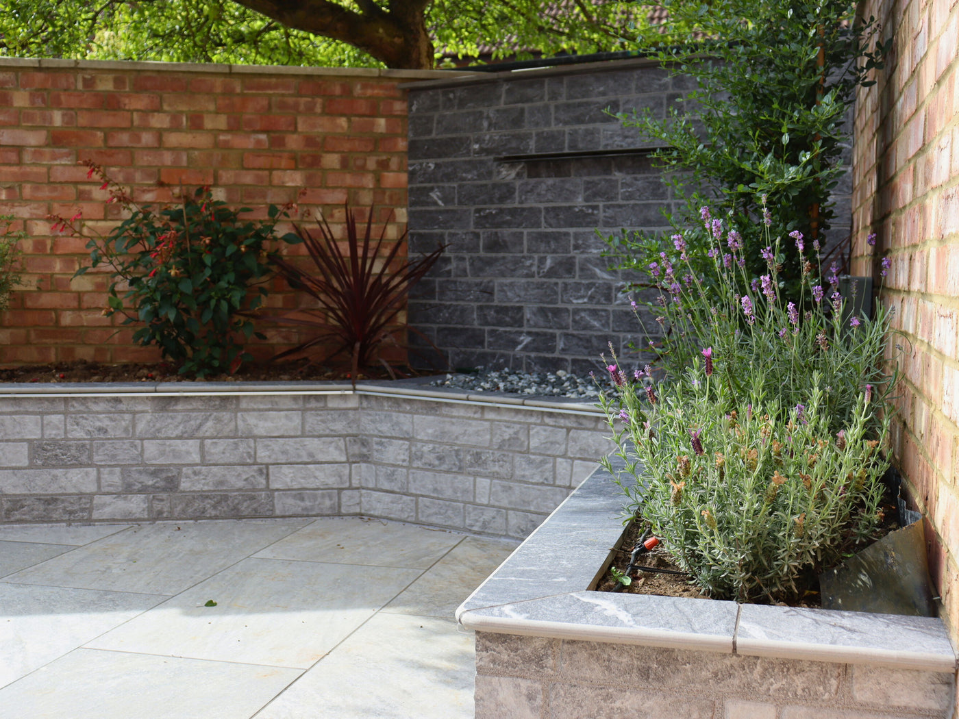 Select Living Group Porcelain Paving with surrounding corner garden wall and plants.