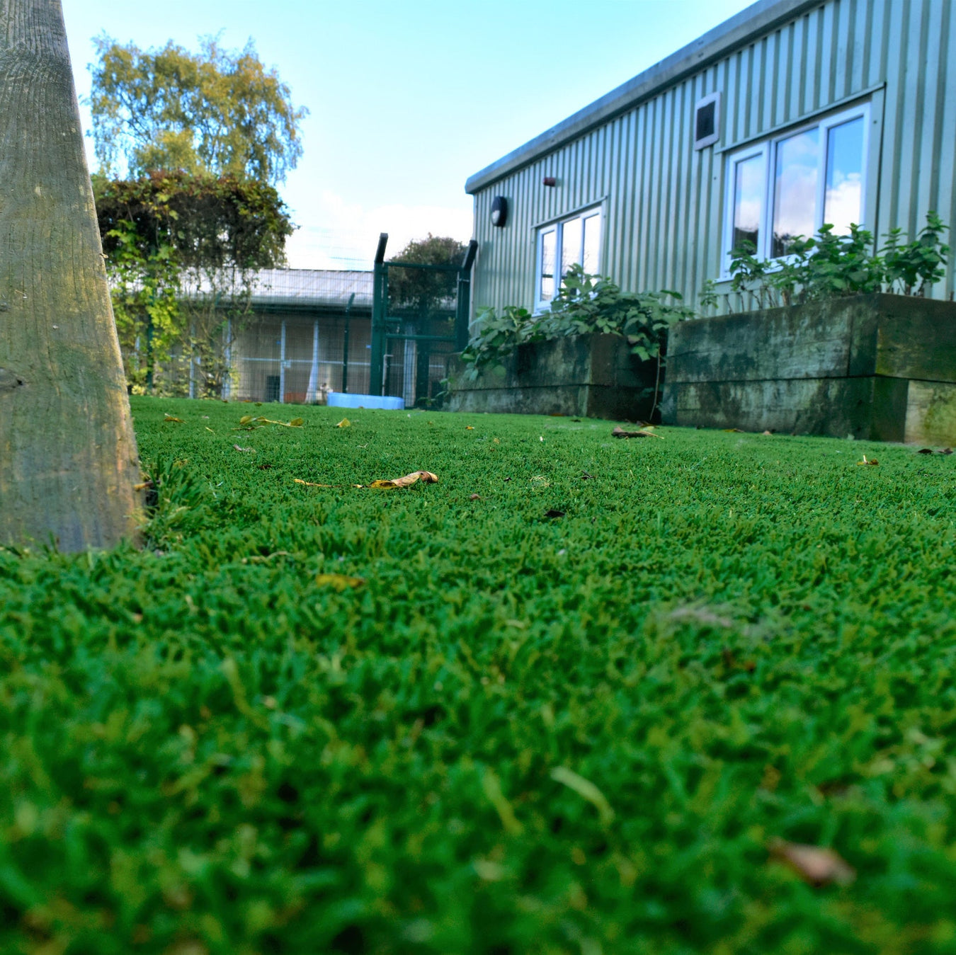 Goodison Artificial Grass from Select Living Group.