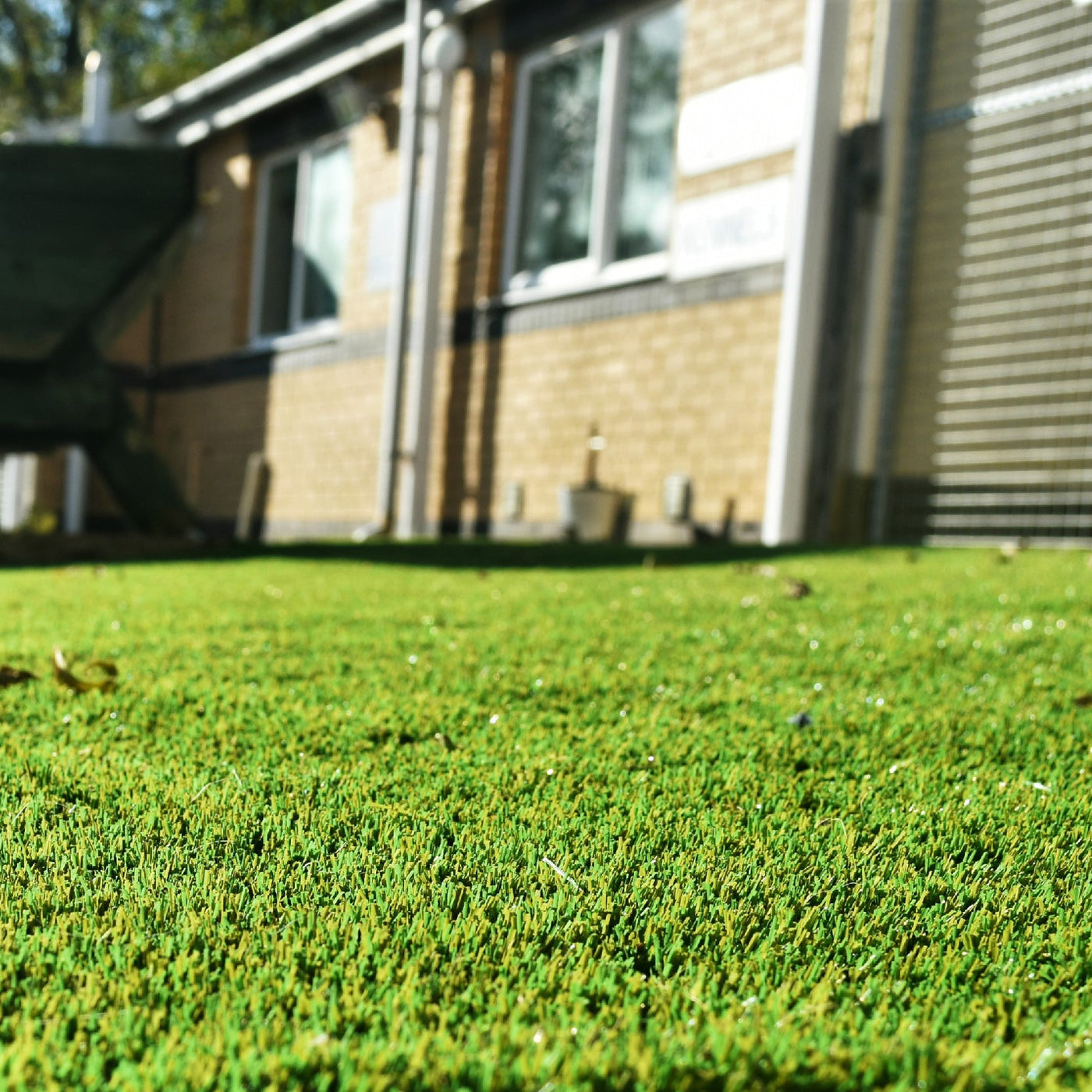 Goodison Artificial Grass from Select Living Group.
