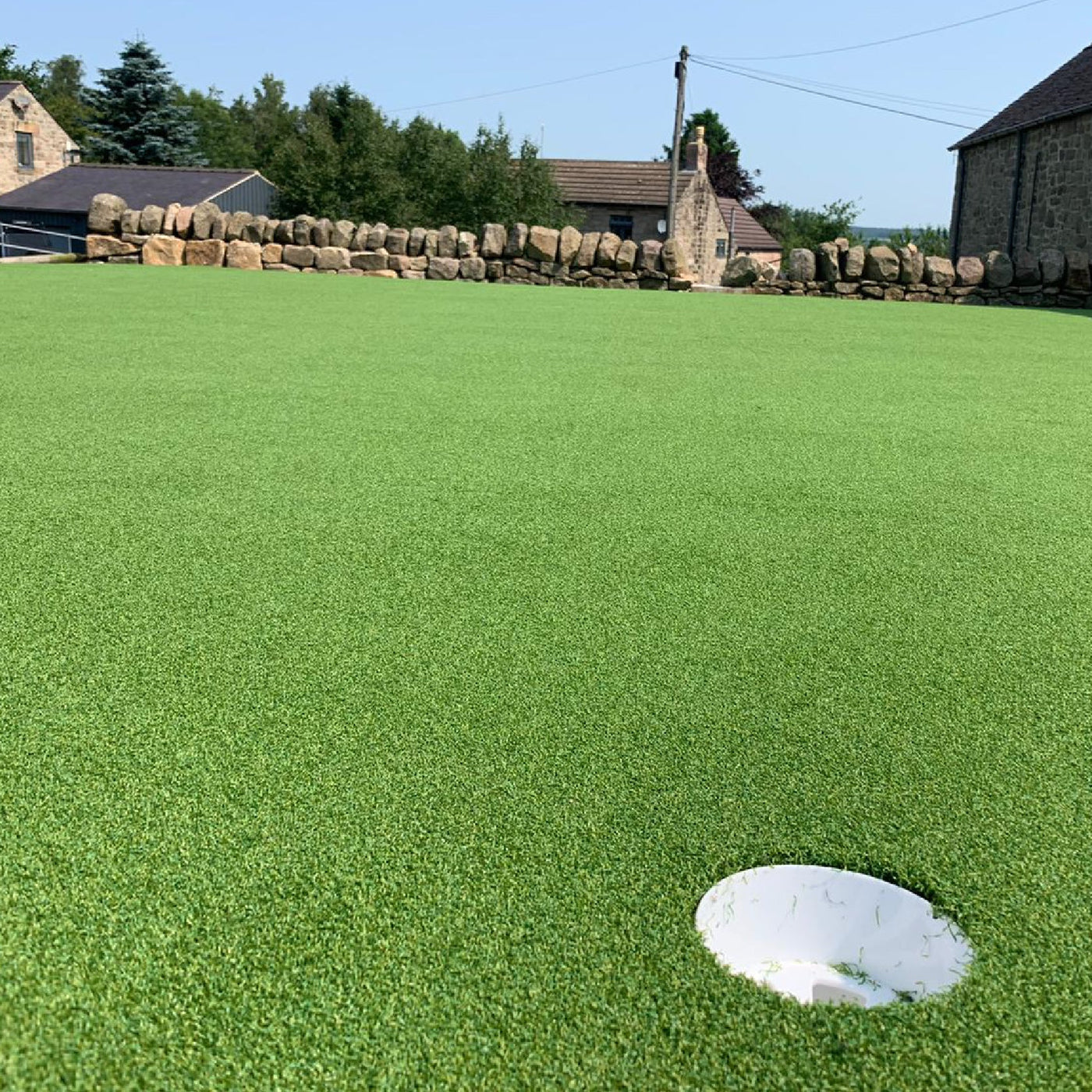 artificial grass pro-putt, putting green turf