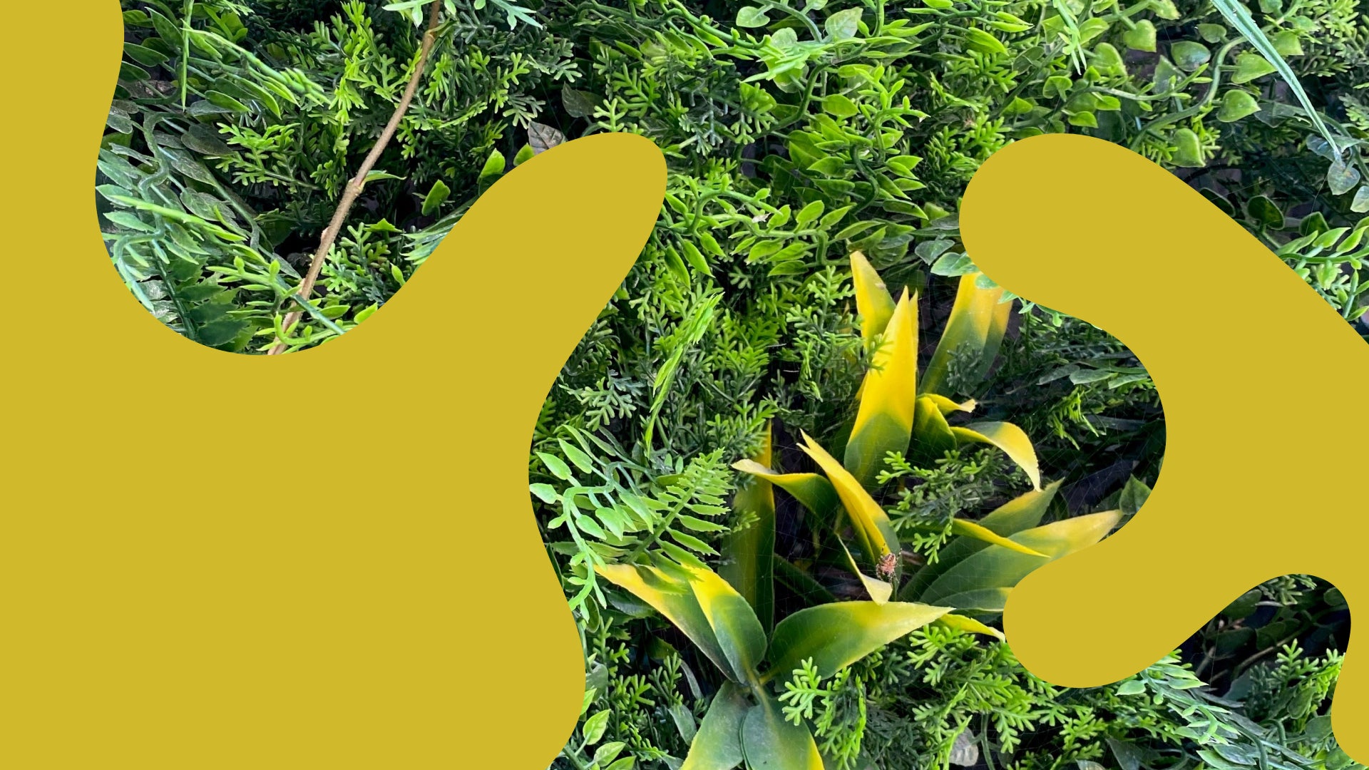 Artificial Plants from Select Living Group.