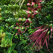 Select Living Artificial Pant Walls close up