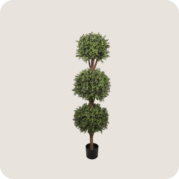 Buxus Triple Ball Tree