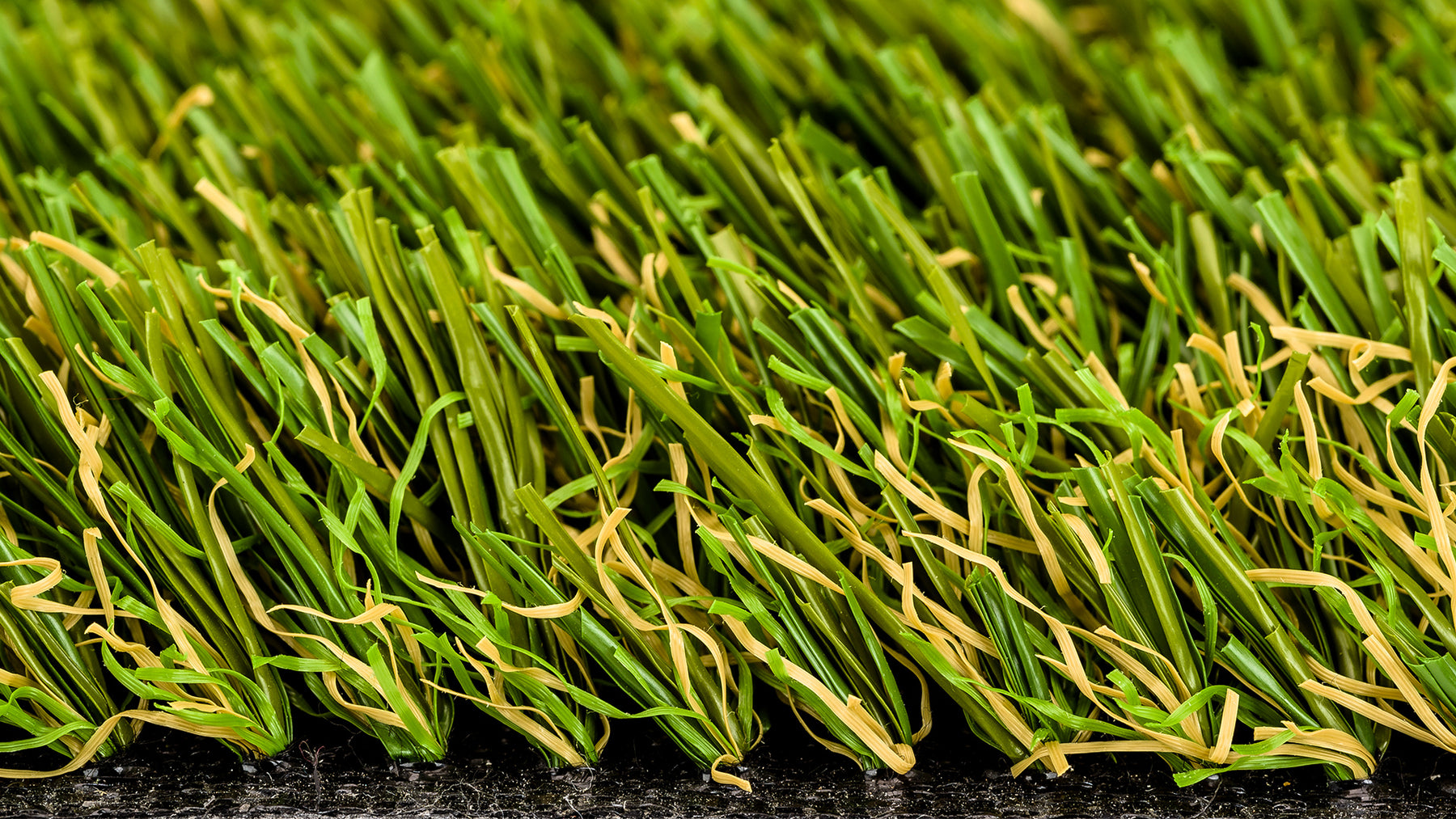 Close up of Select-Grass Highbury 087