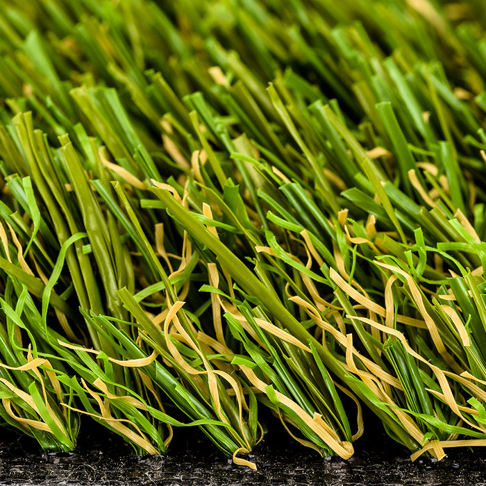 Close up of Select-Grass Highbury 087