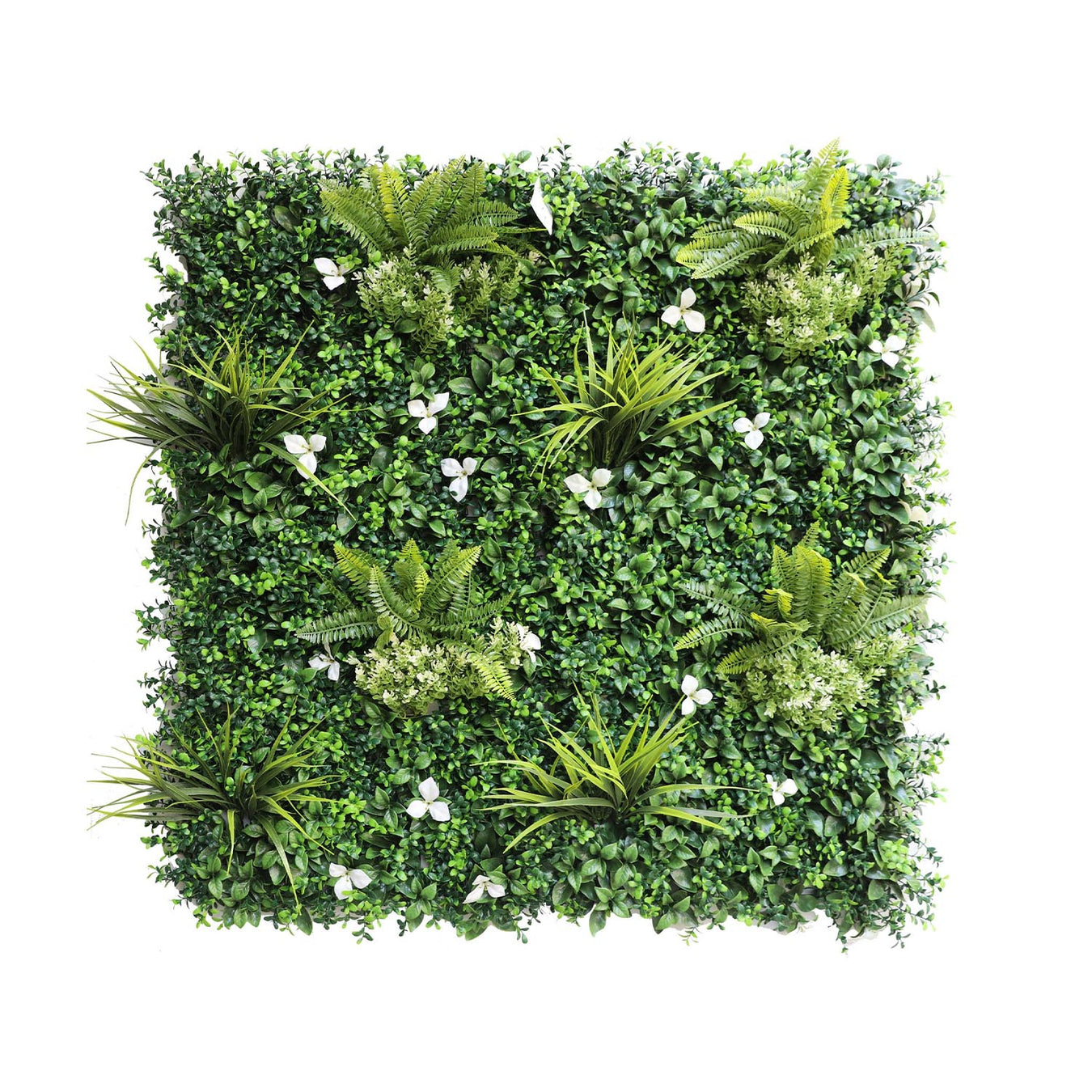 Single-panel plant walls