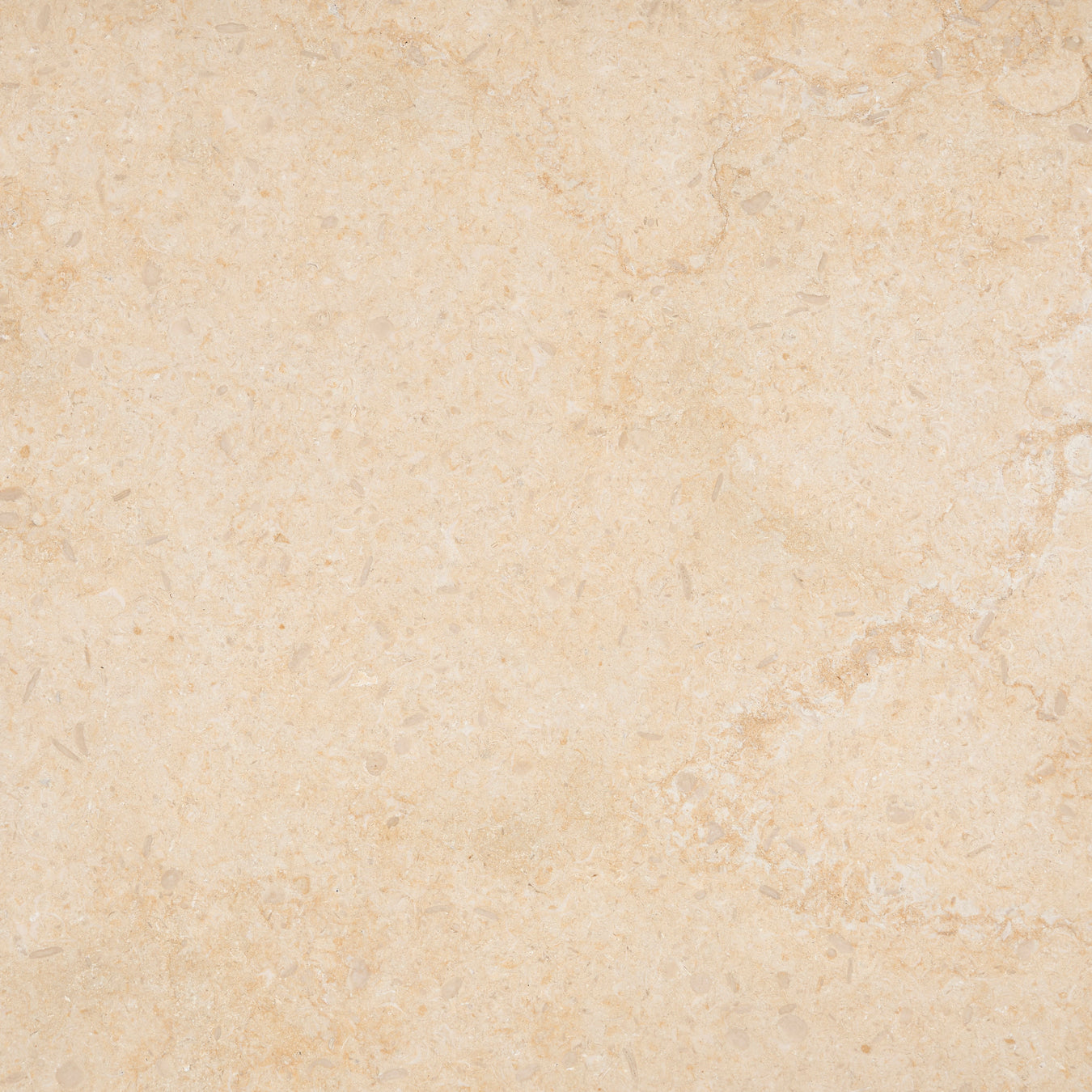 Egyptian Limestone | Dawn Beige Collection