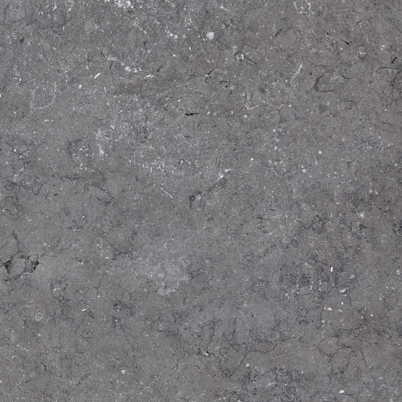 Egyptian Limestone | Midnight Grey Collection