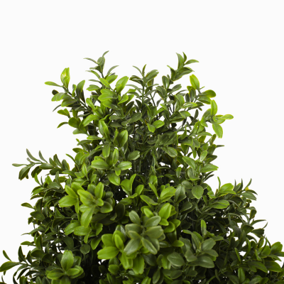 Artificial outdoor plants