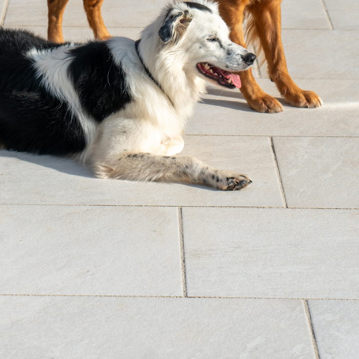 White Cristallo Porcelain Paving | 500mm x 1000mm