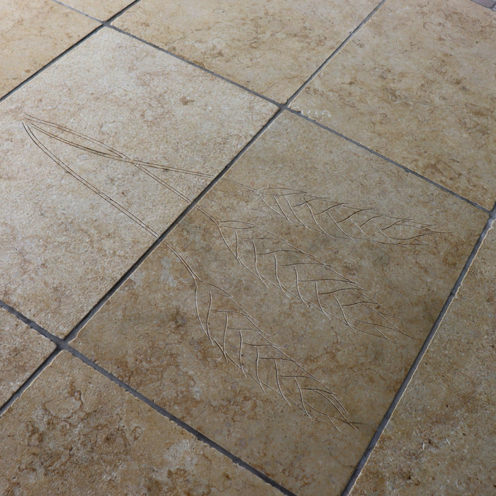 Dawn Beige Egyptian Limestone | Slabs | 600m x 900mm x 20mm
