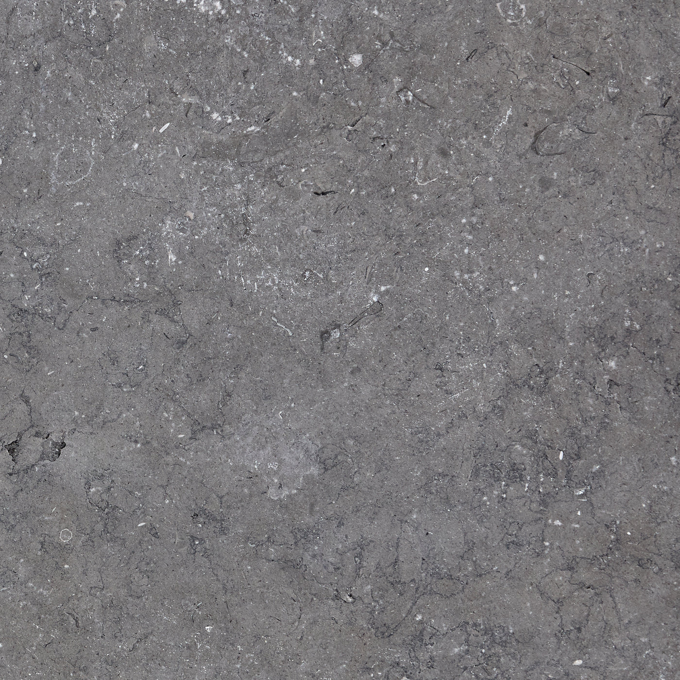 Midnight Grey Egyptian Limestone | Setts | 200mm x 50mm x 40mm — Select ...