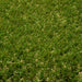 artificial grass highbury