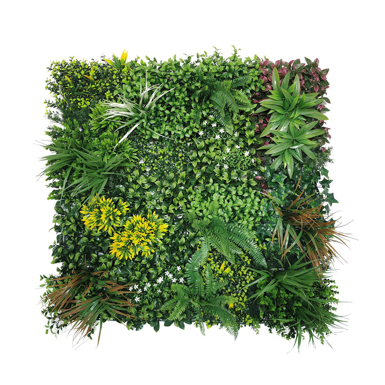 Single-panel plant walls